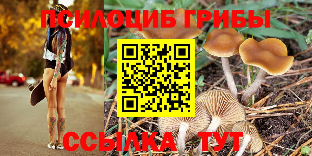 Псилоцибиновые грибы Psilocybine cubensis Соликамск